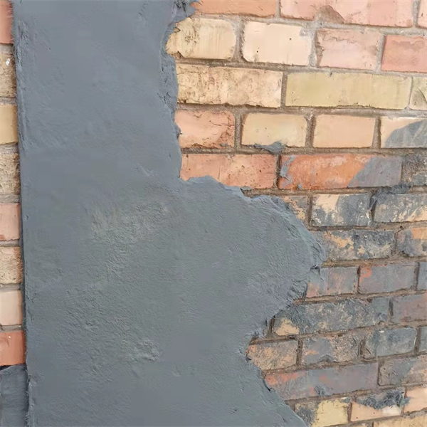 �����Ի���ʿ